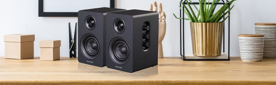 compuer speakers